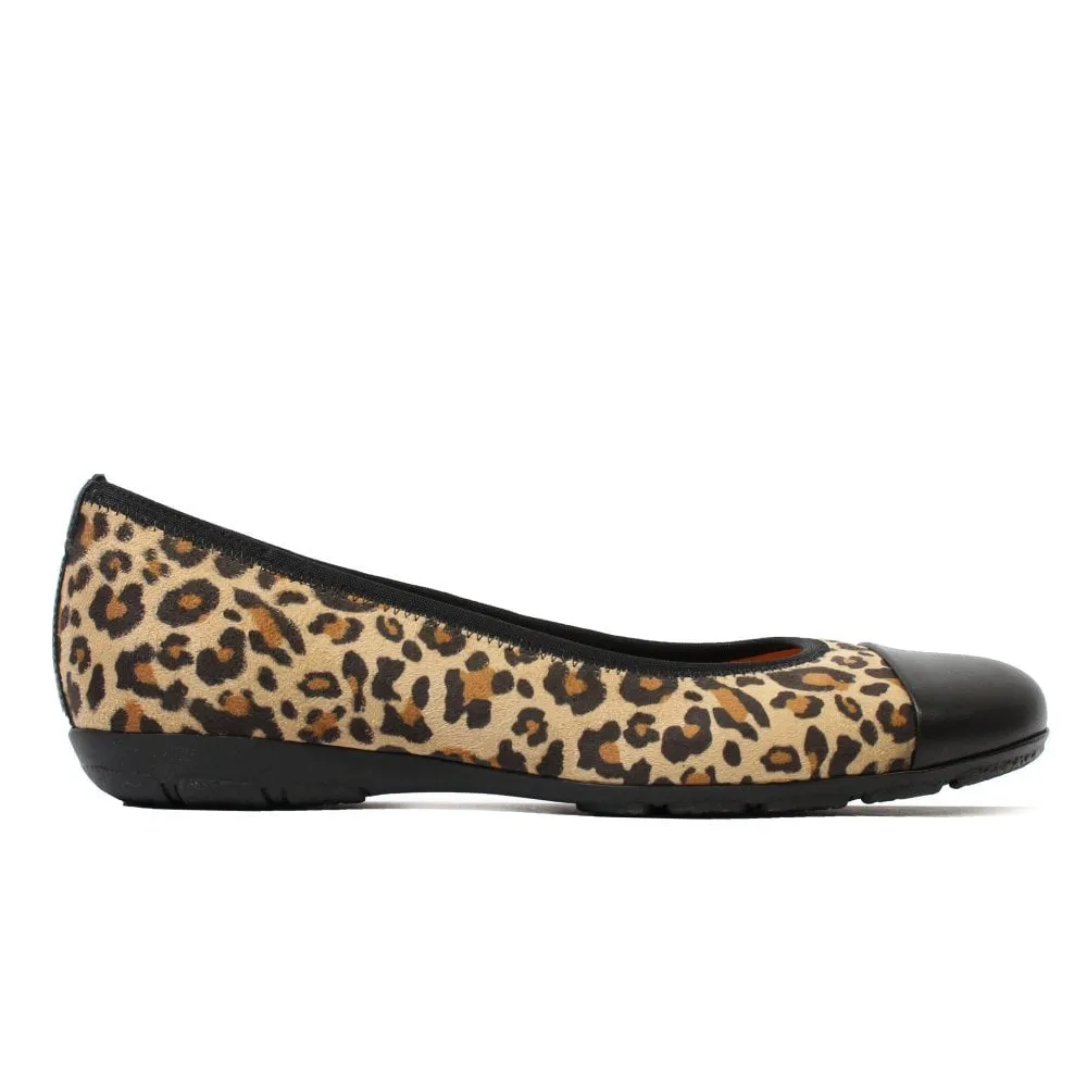 Gabor Women's 34.161.42 Cap Toe Ballerina Flat - Natural/Black Leopard Print