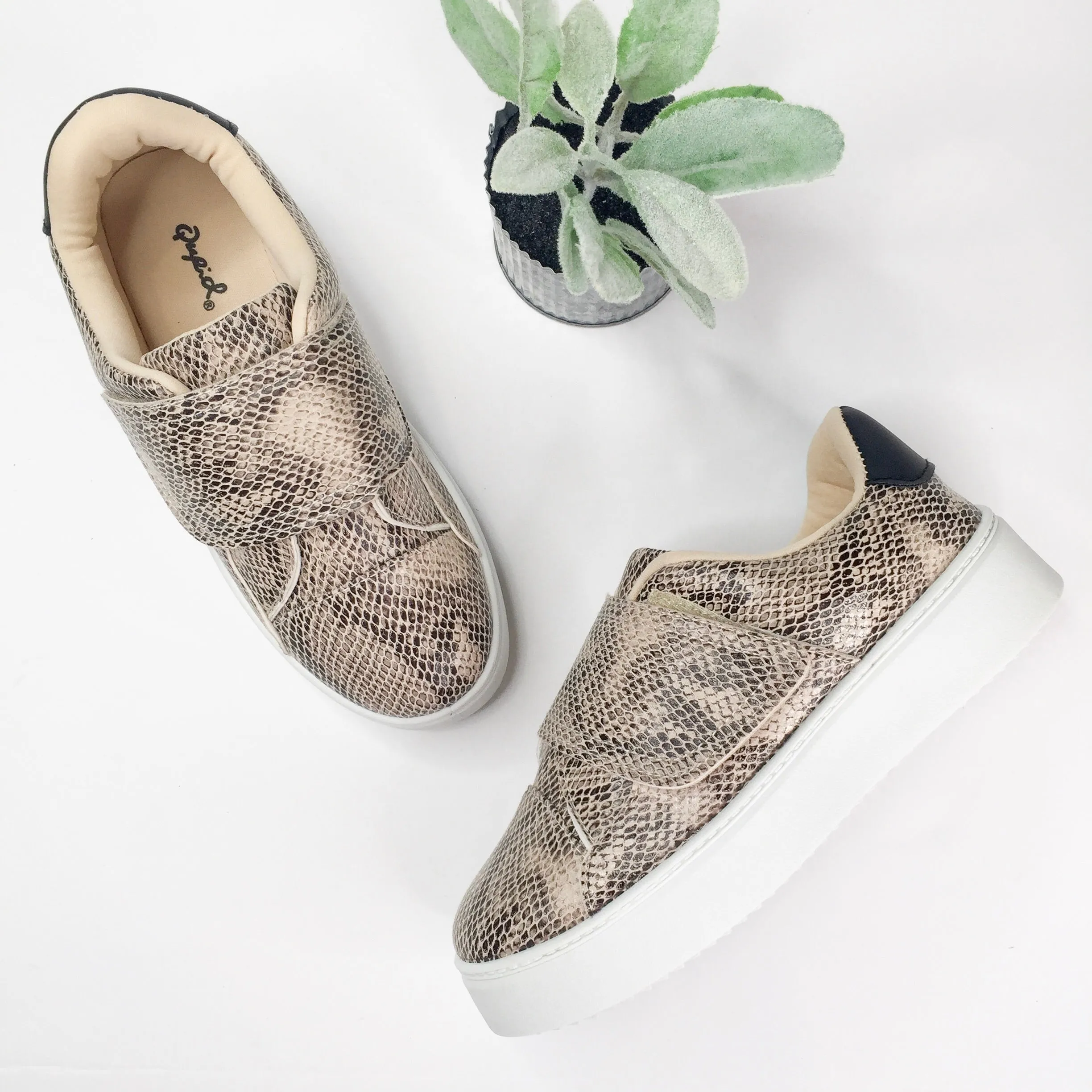 Last Chance Size 6 | Don't Be Moody Snakeskin Velcro Platform Sneakers