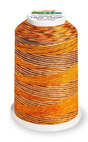 Madeira Aeroflock 100 | Thick Serger Thread | Multicolor | 1100 yards | 9121-9507 | Savanna